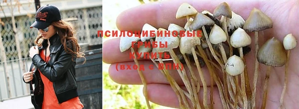 тгк Алексеевка