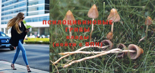 МДМА Протвино